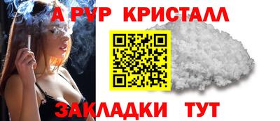 СК Краснокаменск