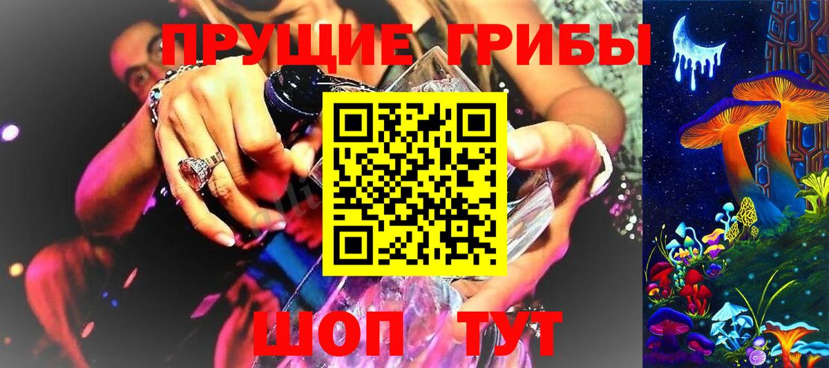где найти наркотики  Вход с VPN  Котлас  Псилоцибиновые грибы GOLDEN TEACHER 